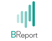 BReport